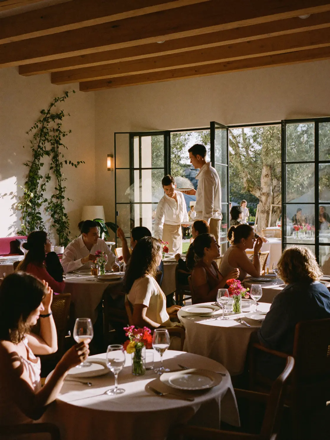 A sunlit California dining room at full service, every table taken, servers working the floor and the doors open onto an olive courtyard